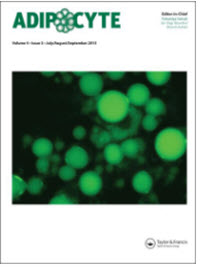 Serum leptin levels are positively associated with aortic stiffness in patients with chronickidney disease stage 3–5